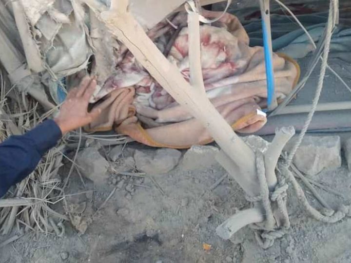 إصابة 3 أطفال وامرأة بقصف صاروخي حوثي على مخيم الحمة في مأرب