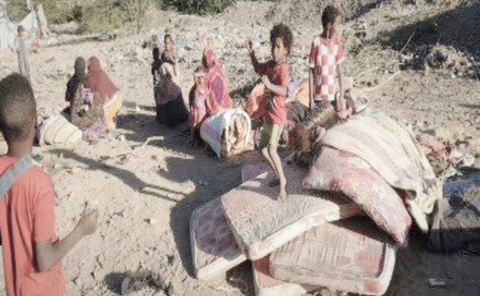 Report of The New Wave of Displacement – Shabwah